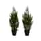 2ft. Potted UV Resistant Cedar Pine Trees, 2ct.